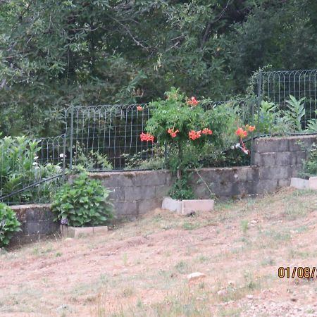 L'Altore Di Savaghju Vivario  Dış mekan fotoğraf
